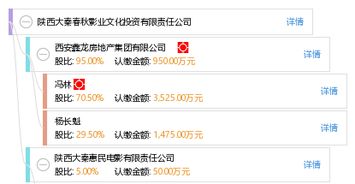 投资影业 陕西大秦春秋影业文化投资有限责任公司的战略布局与未来展望